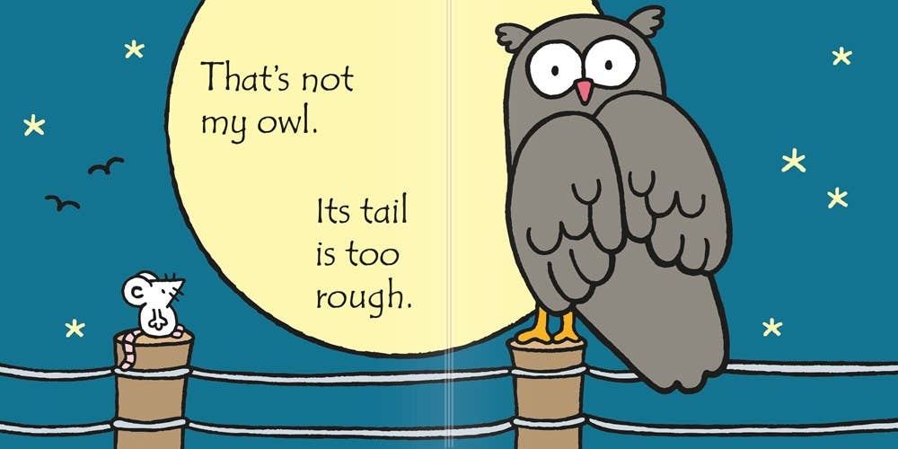 That's Not My Owl. : Usborne