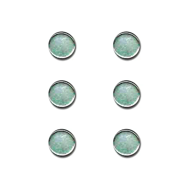 Magnet Large Round S/6