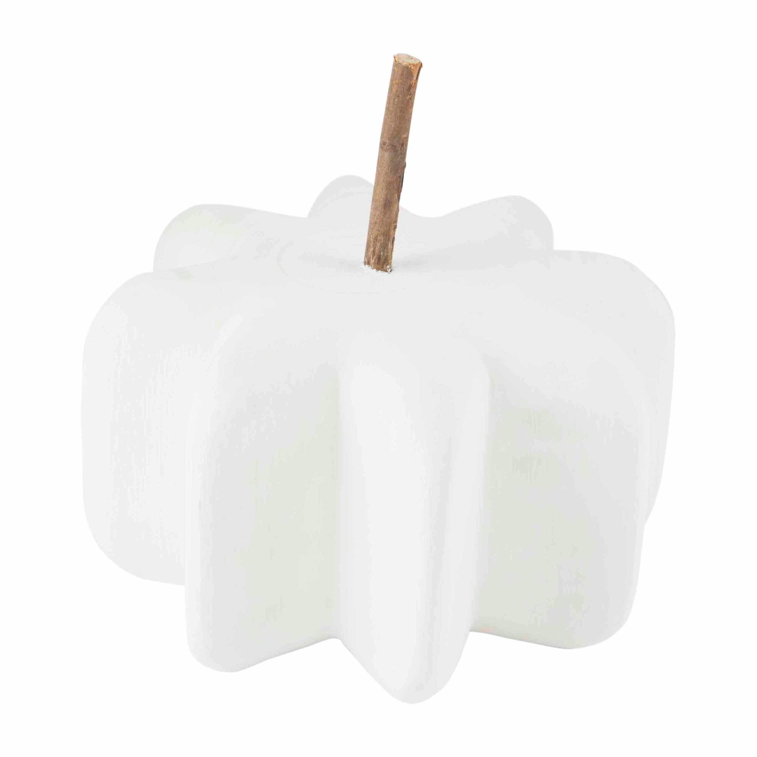 Short White Paulownia Pumpkin