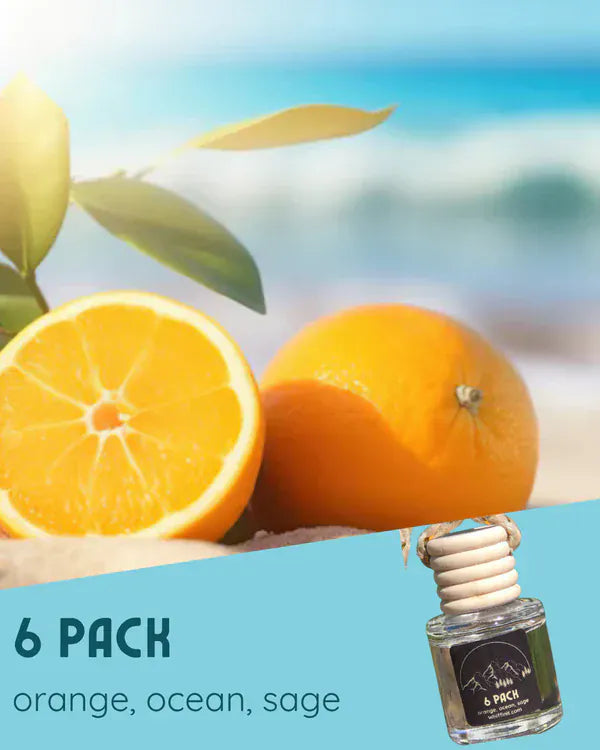 6 Pack Car Air Freshner
