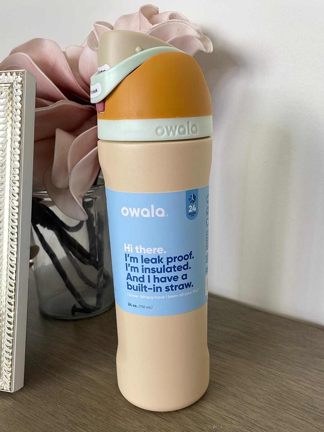 Water Desert Owala FreeSip Stainless Steel 24oz