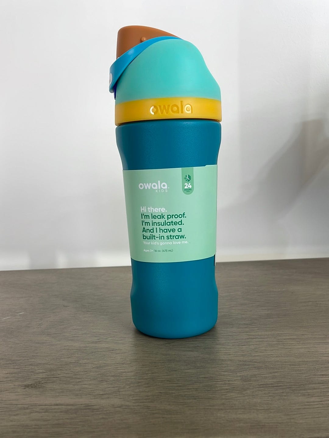 Splishy Splashy Owala FreeSip Stainless Steel 16oz