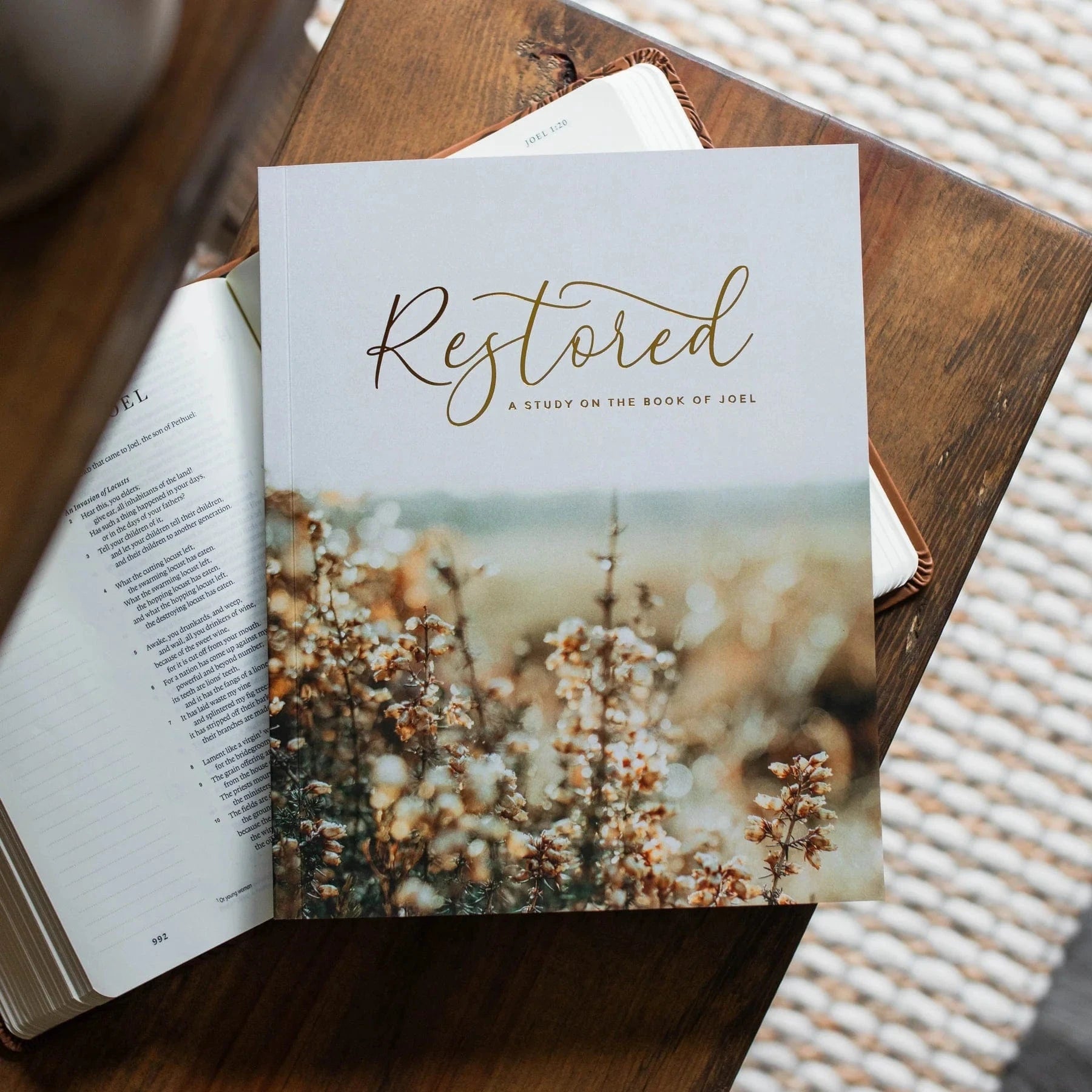 Restored: A Study on the Book of Joel