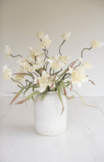 Cream Botanica Stem