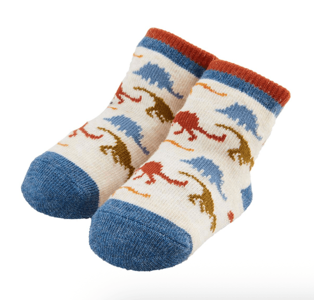 Dino Pattern Socks