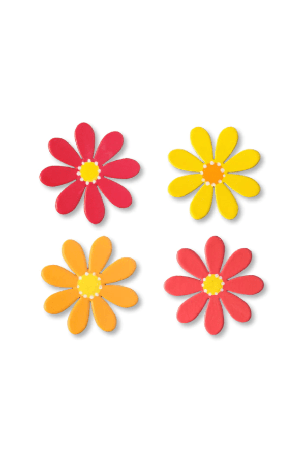 Daisy Magnets S/4 Warm