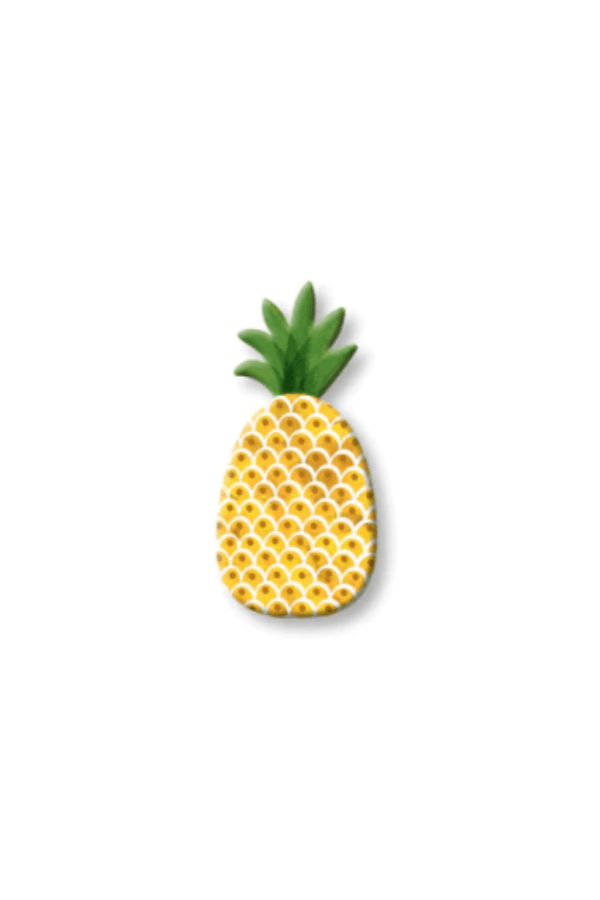Pineapple Magnet Mini