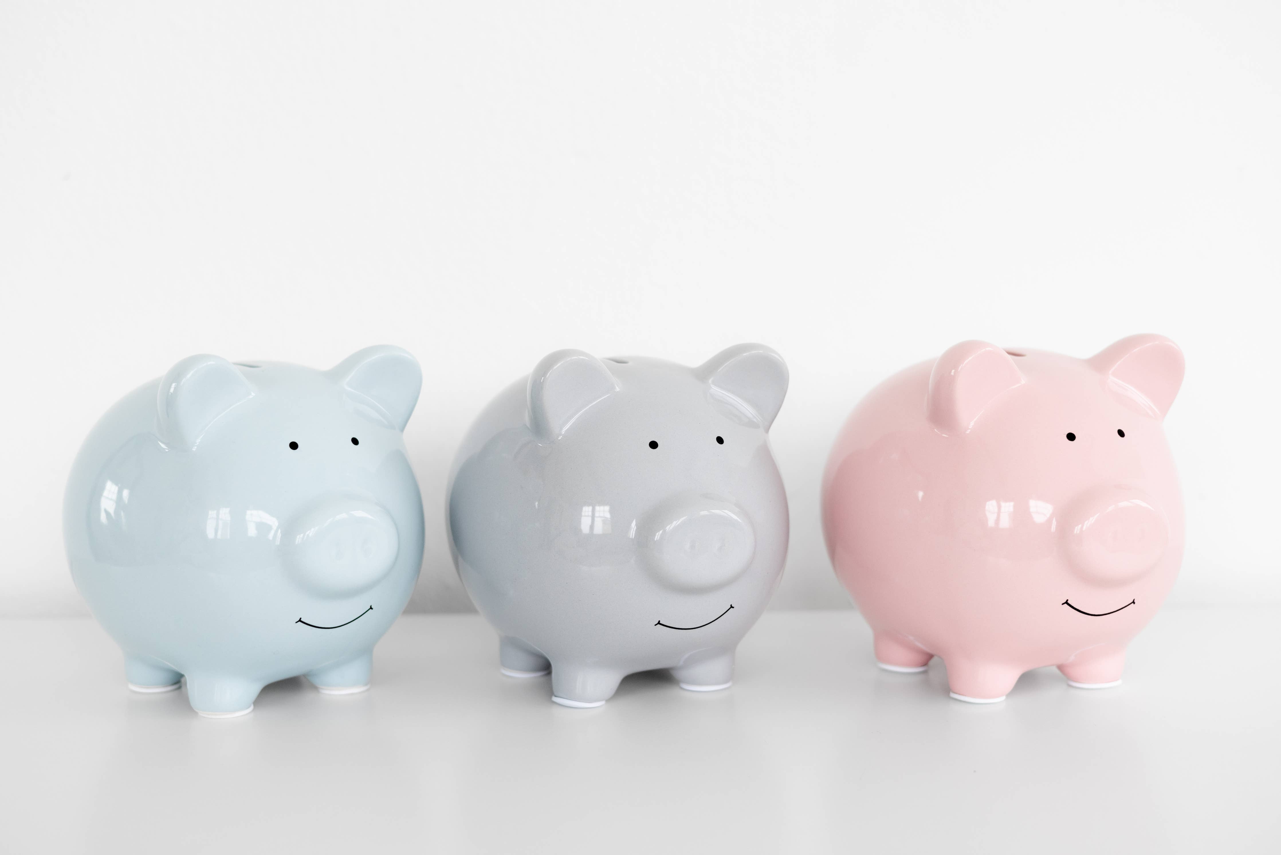 Ceramic Piggy Bank: Grey