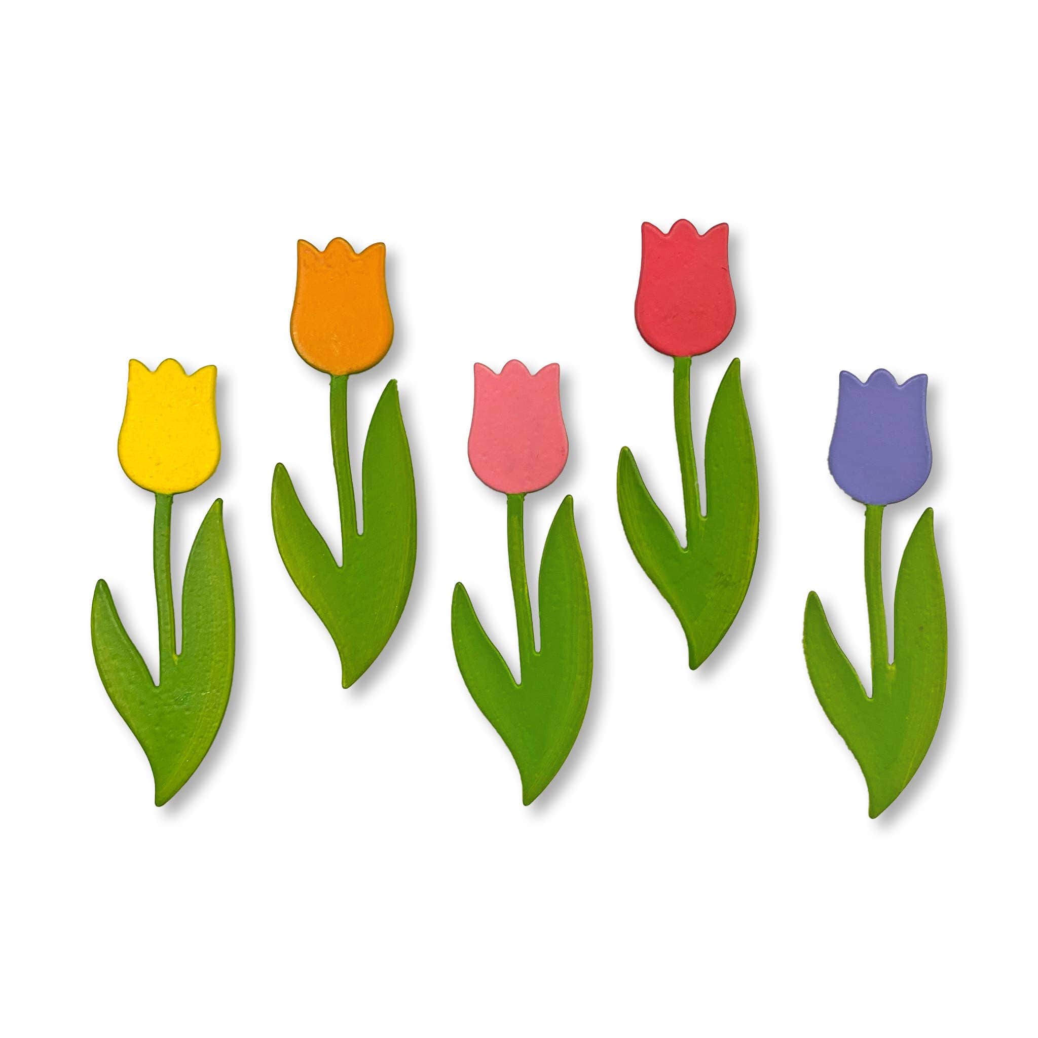 Tulip Magnets S/5 Rainbow
