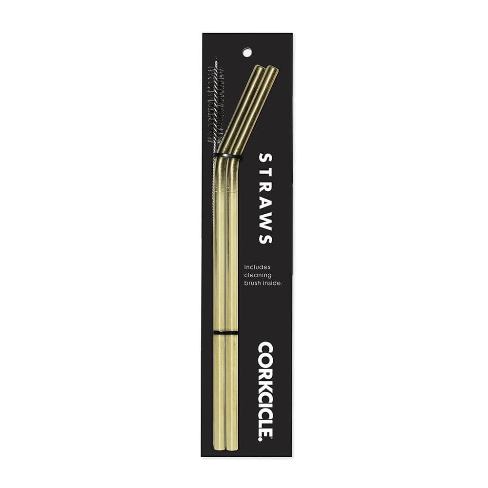 Tumbler Straws 2-Pack