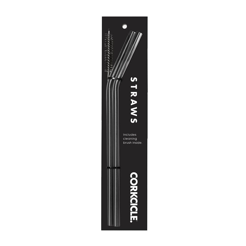 Tumbler Straws 2-Pack