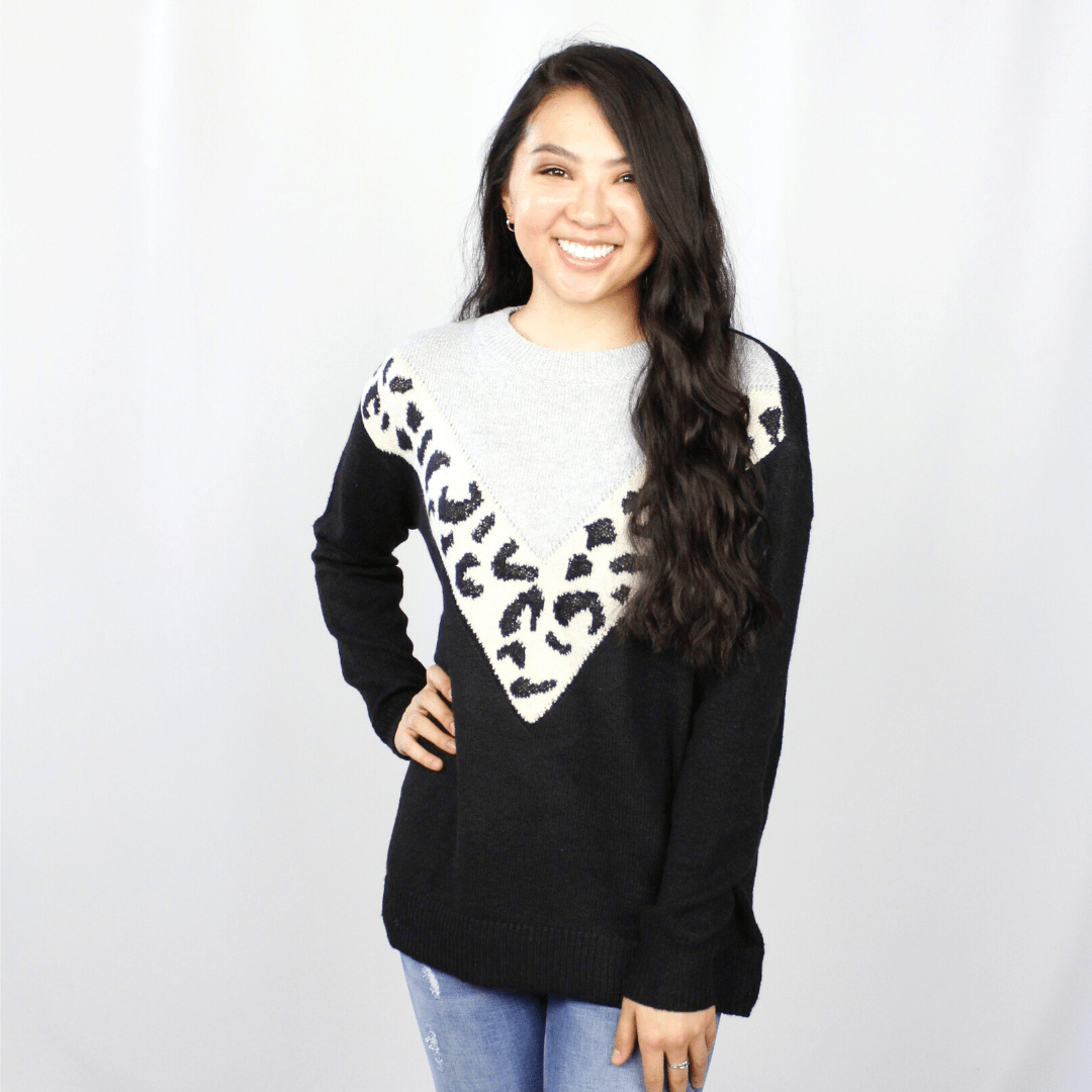 Leopard Chevron Colorblock Sweater