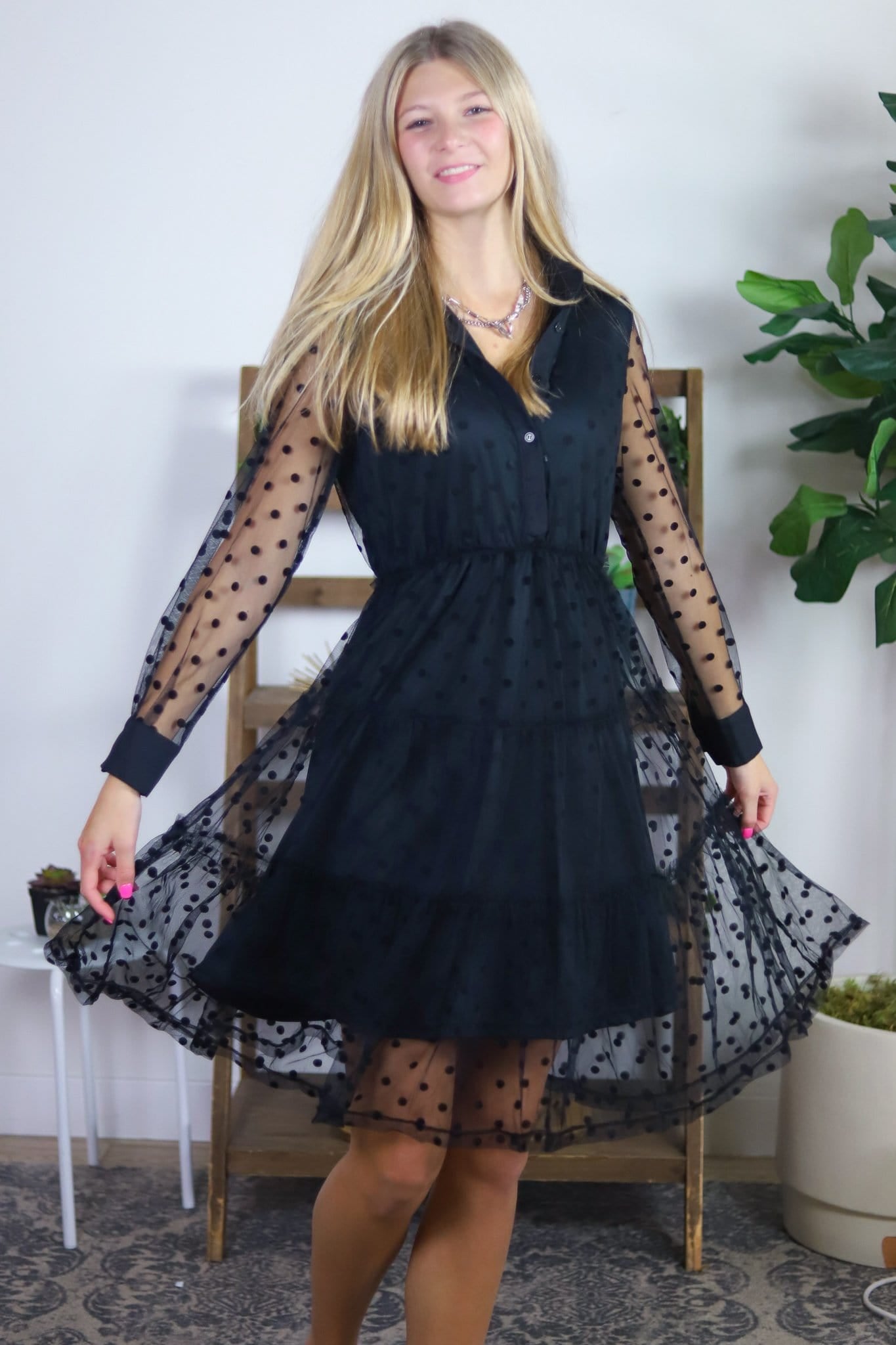 Mesh Polka Dot Dress