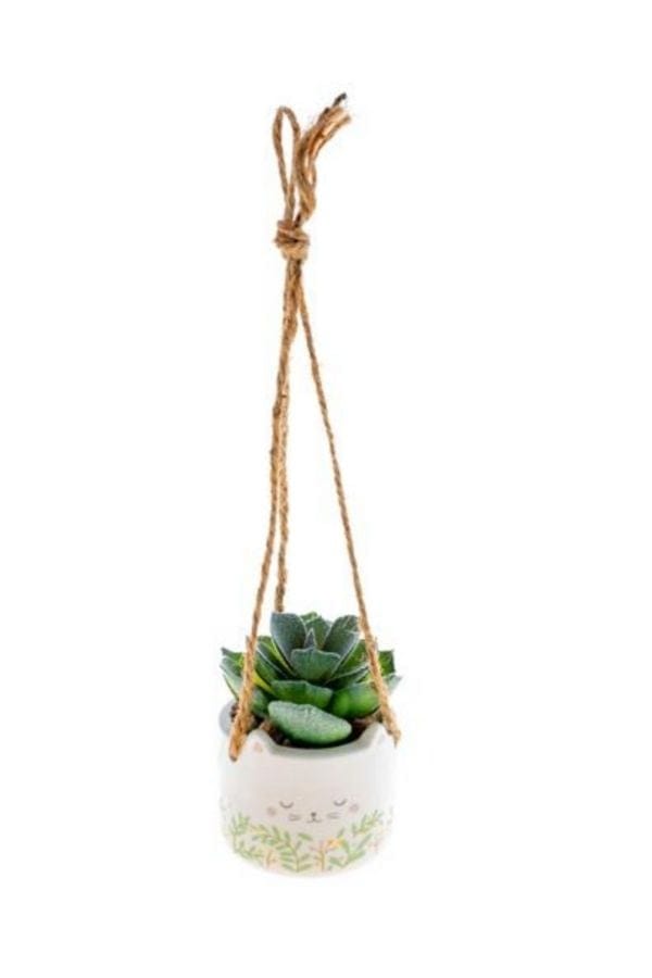 Shaped Hanging Succulent Pot - Cat
