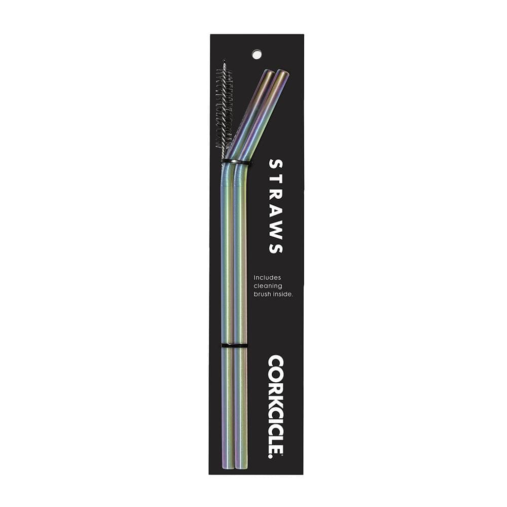 Tumbler Straws 2-Pack