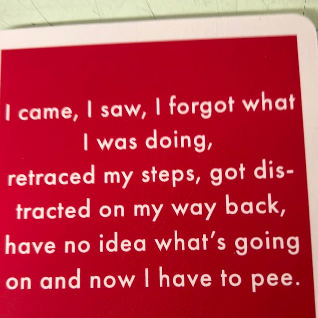 I Came I Saw Coaster