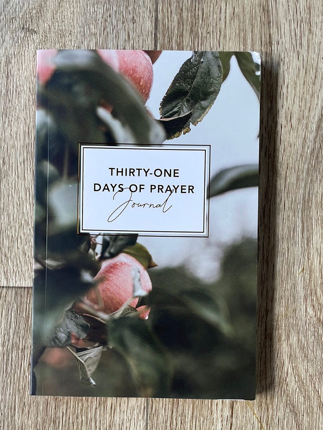 Thirty-One Days of Prayer Journal
