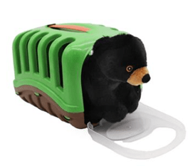 Medical Set Black Bear