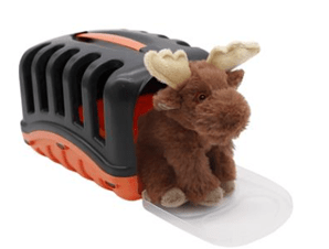 Medical Set Moose