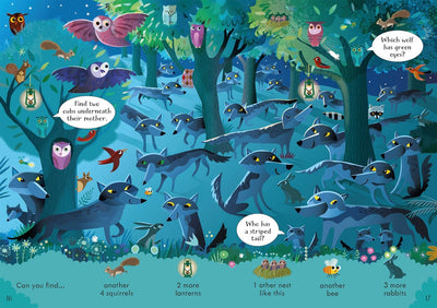 Can you Spot? Nighttime : Usborne