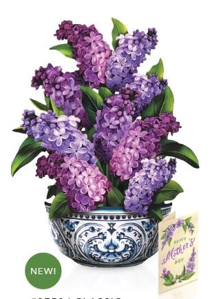 Mother's Day Garden Lilac