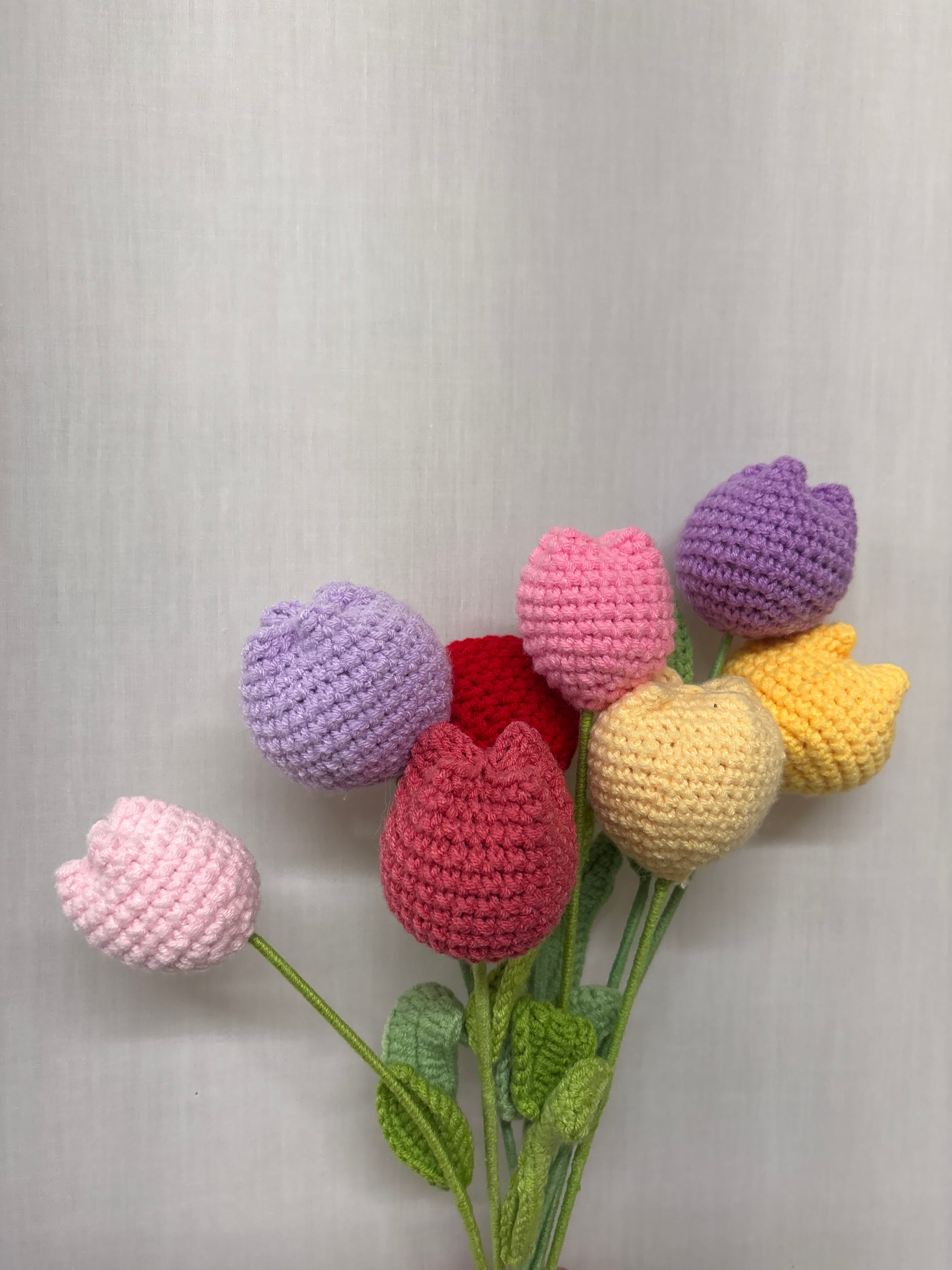 Assorted Knit Tulip