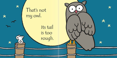That's Not My Owl. : Usborne