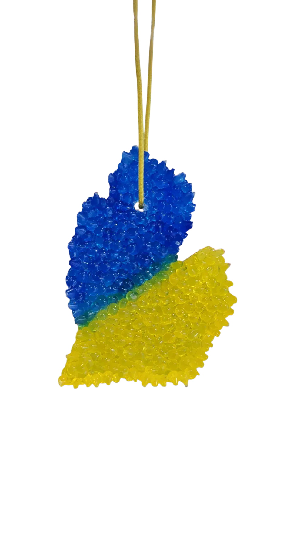 Team Spirit Go Blue Michigan Air Freshener