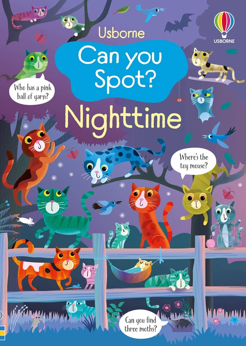 Can you Spot? Nighttime : Usborne
