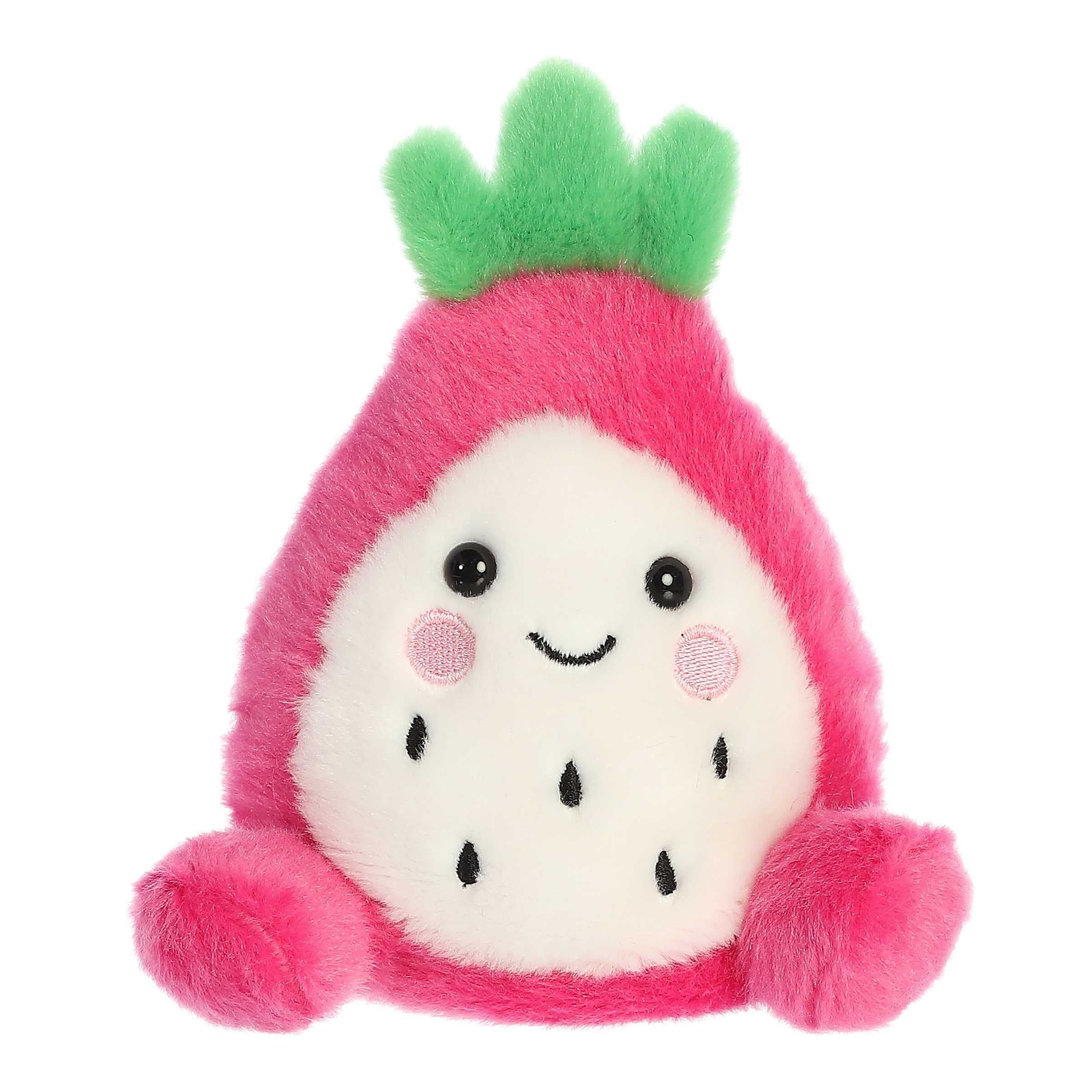 5" Rhys Dragon Fruit Palm Pals