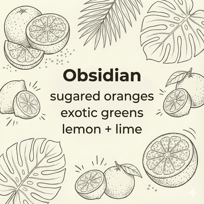 Obsidian Soy Candle 5oz - Natural Small Batch