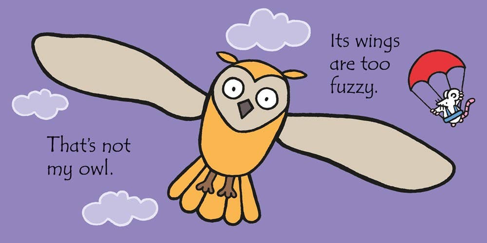 That's Not My Owl. : Usborne