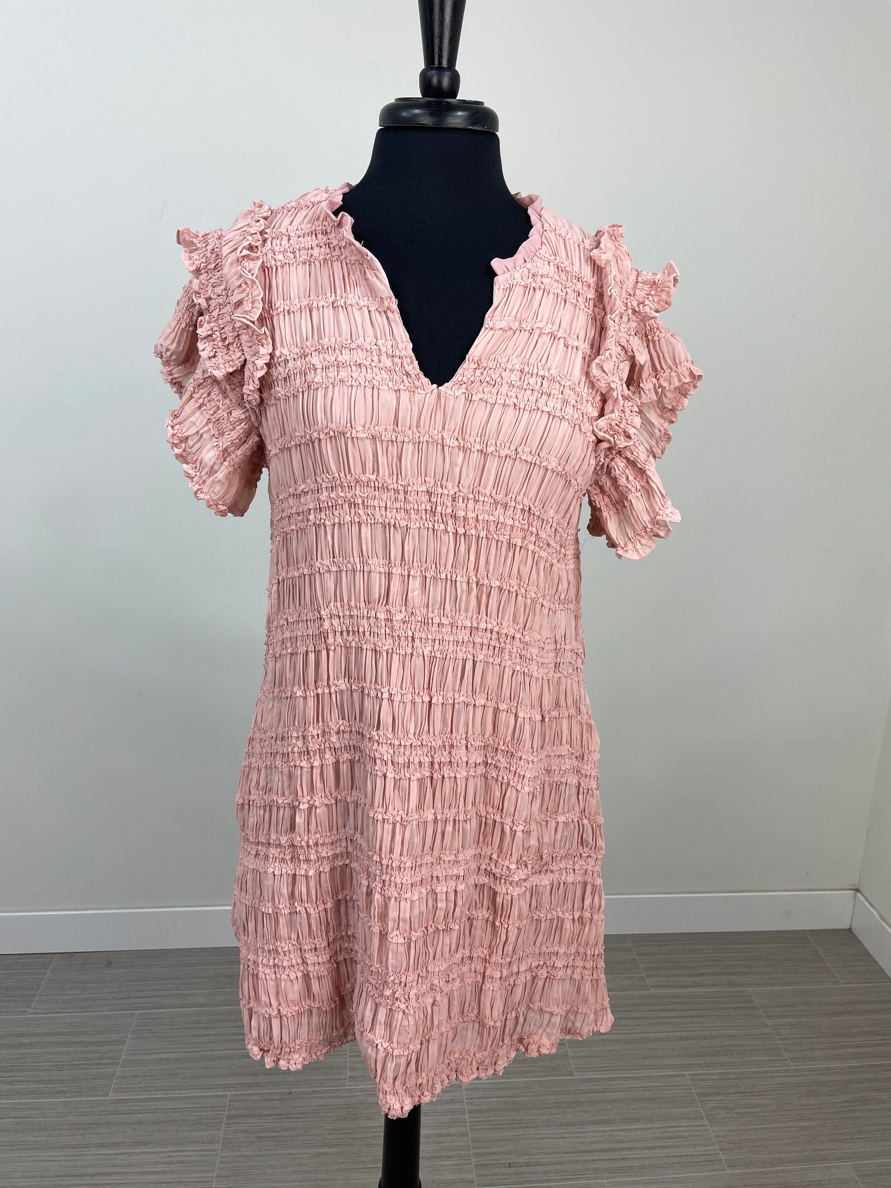 Blush Ruching and Ruffle Dress