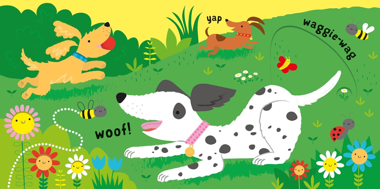 Slide And See Pets: Fiona Watt & Stella Baggott