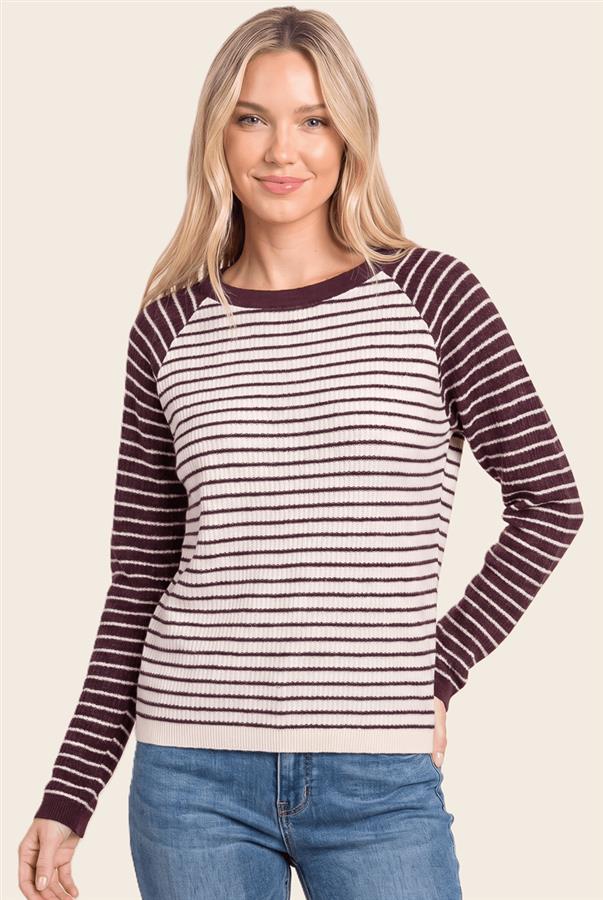 Dark Plum Striped Color Block Sweater