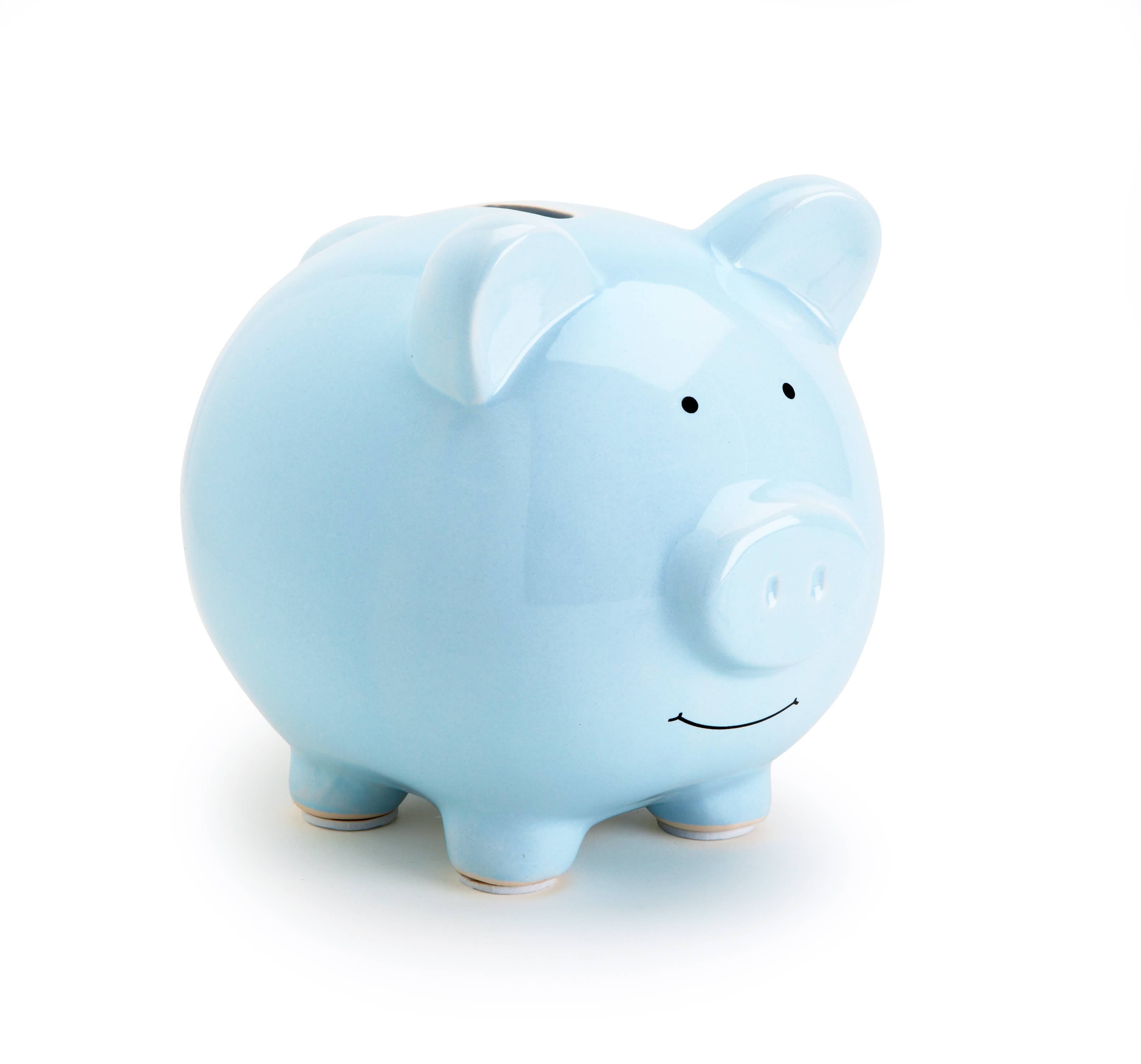 Ceramic Piggy Bank: Grey