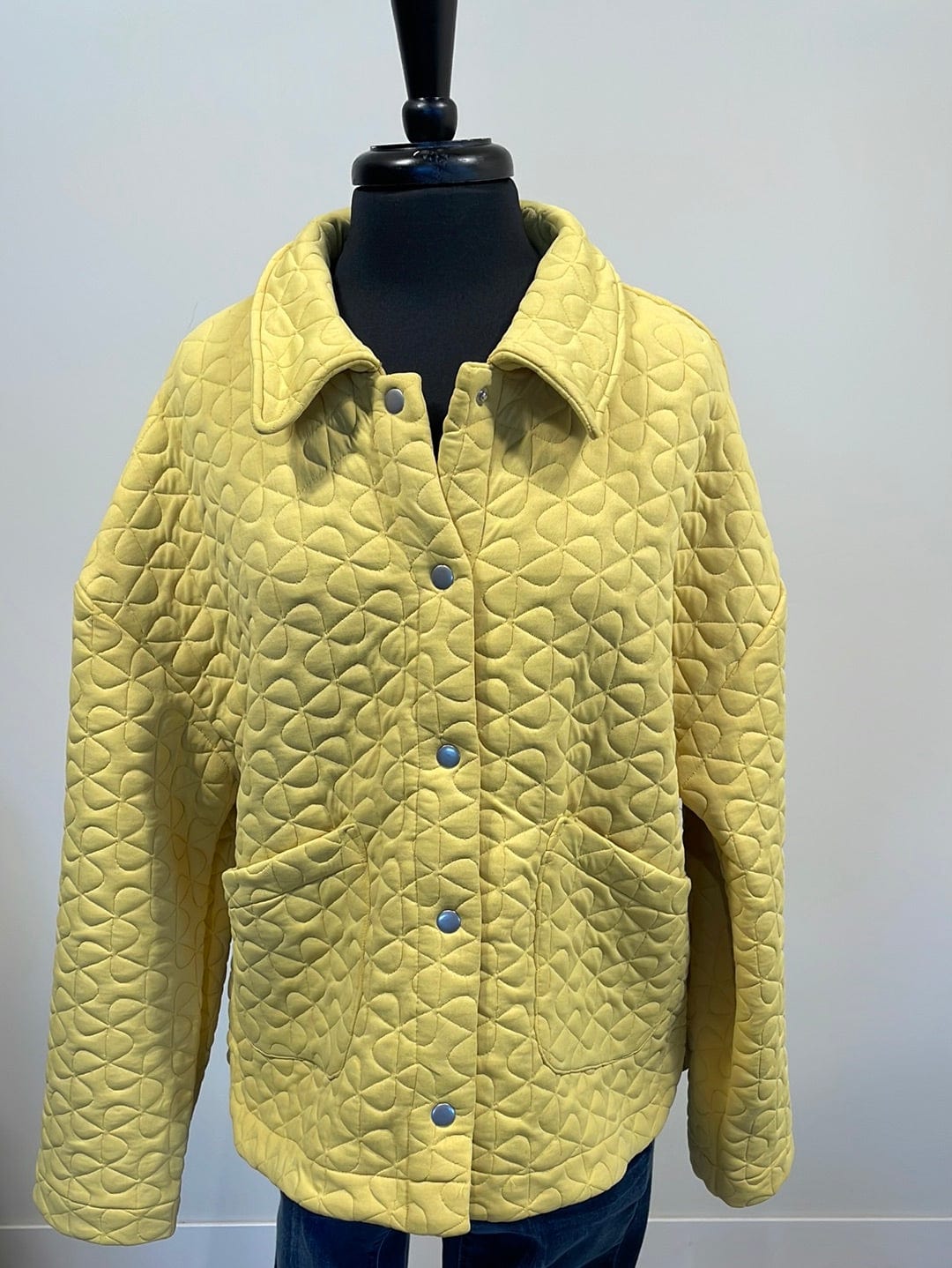Honey Textured Metal Button Up Jacket