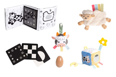 0-6 Months Learning Kit 8 piece Developmental Toys
