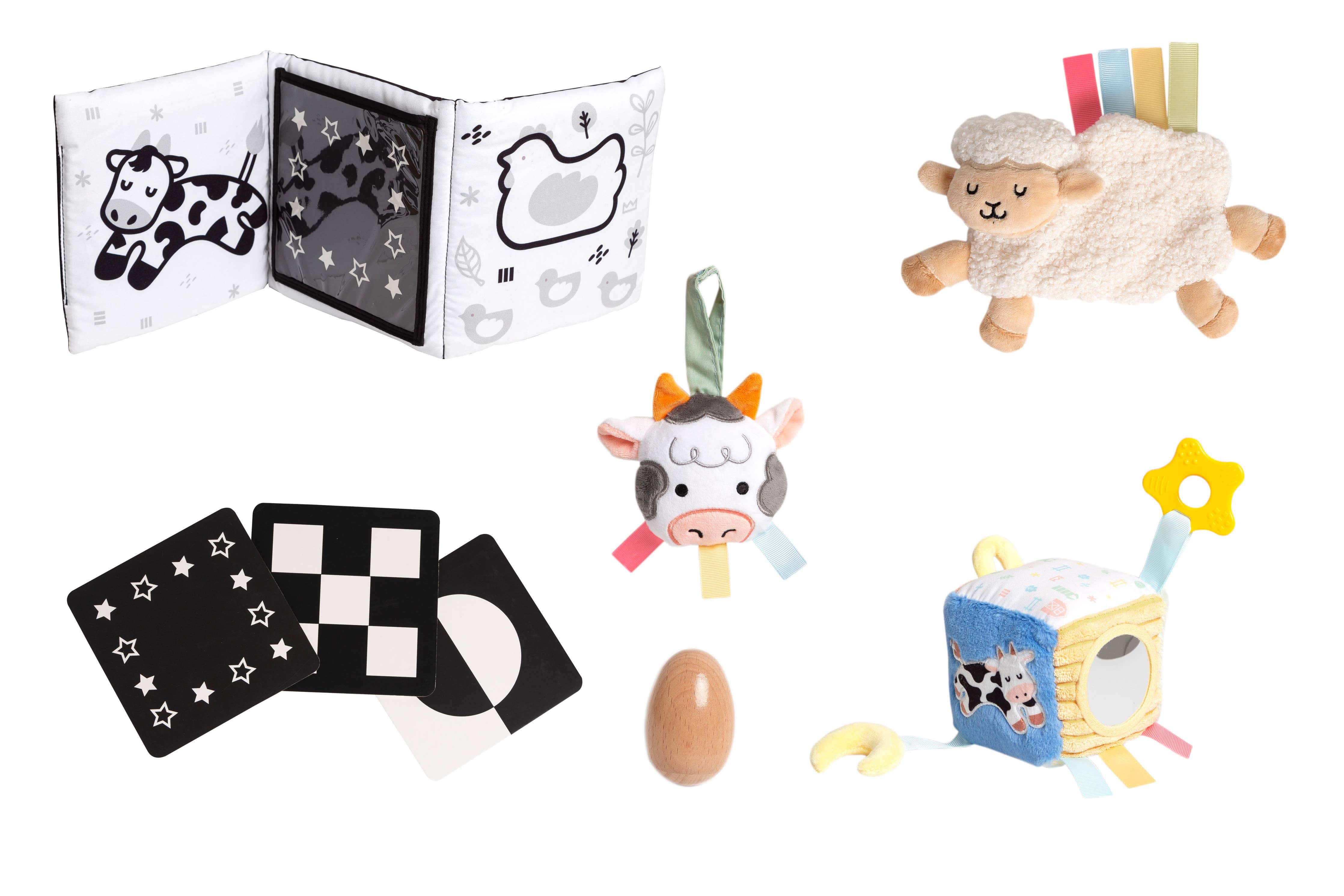 0-6 Months Learning Kit 8 piece Developmental Toys