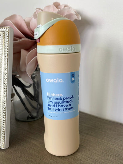 Water Desert Owala FreeSip Stainless Steel 24oz