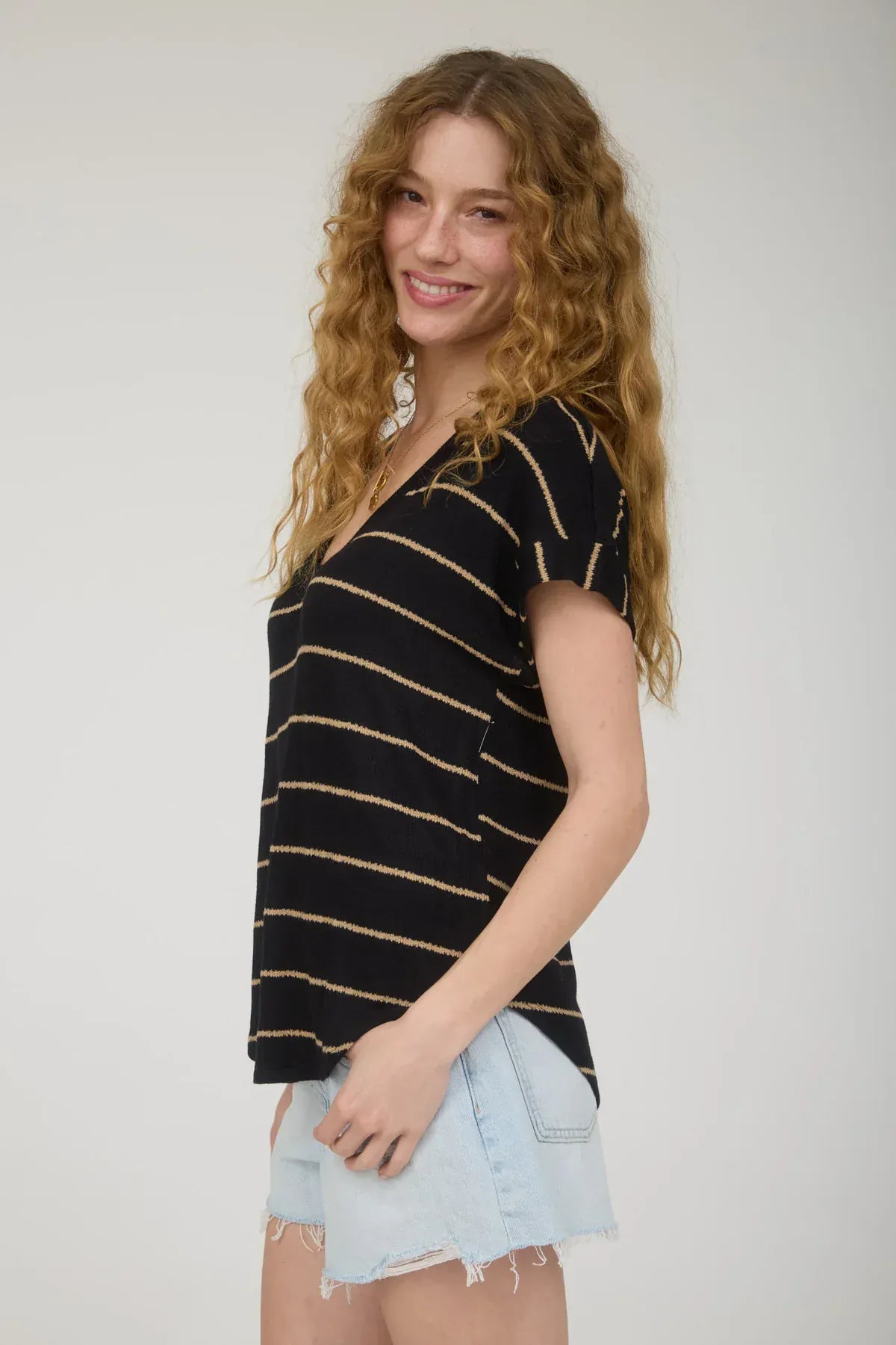 Black Stripe V-Neck Knit Top