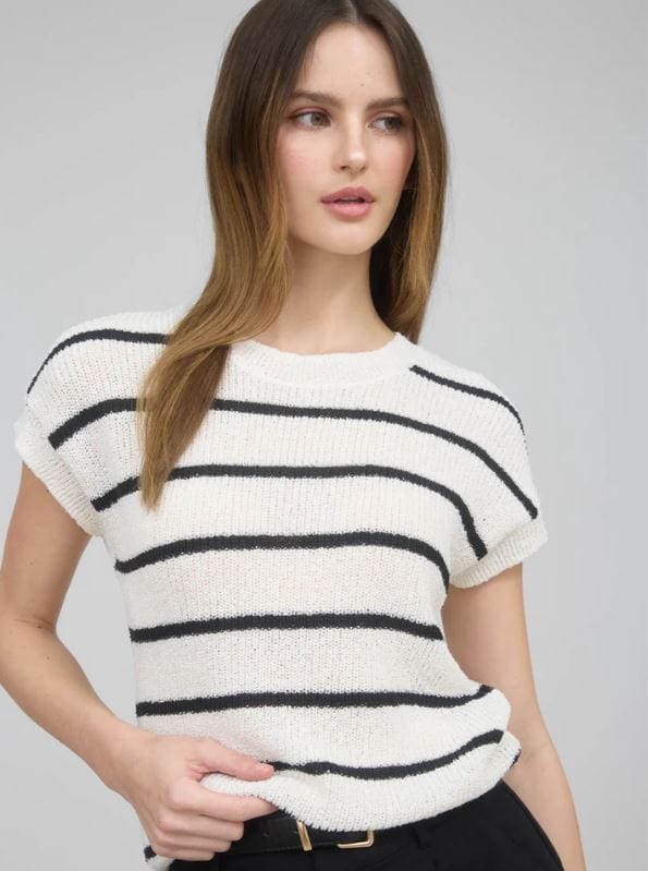 Ivory Stripe Short Sleeve Knit Sweater