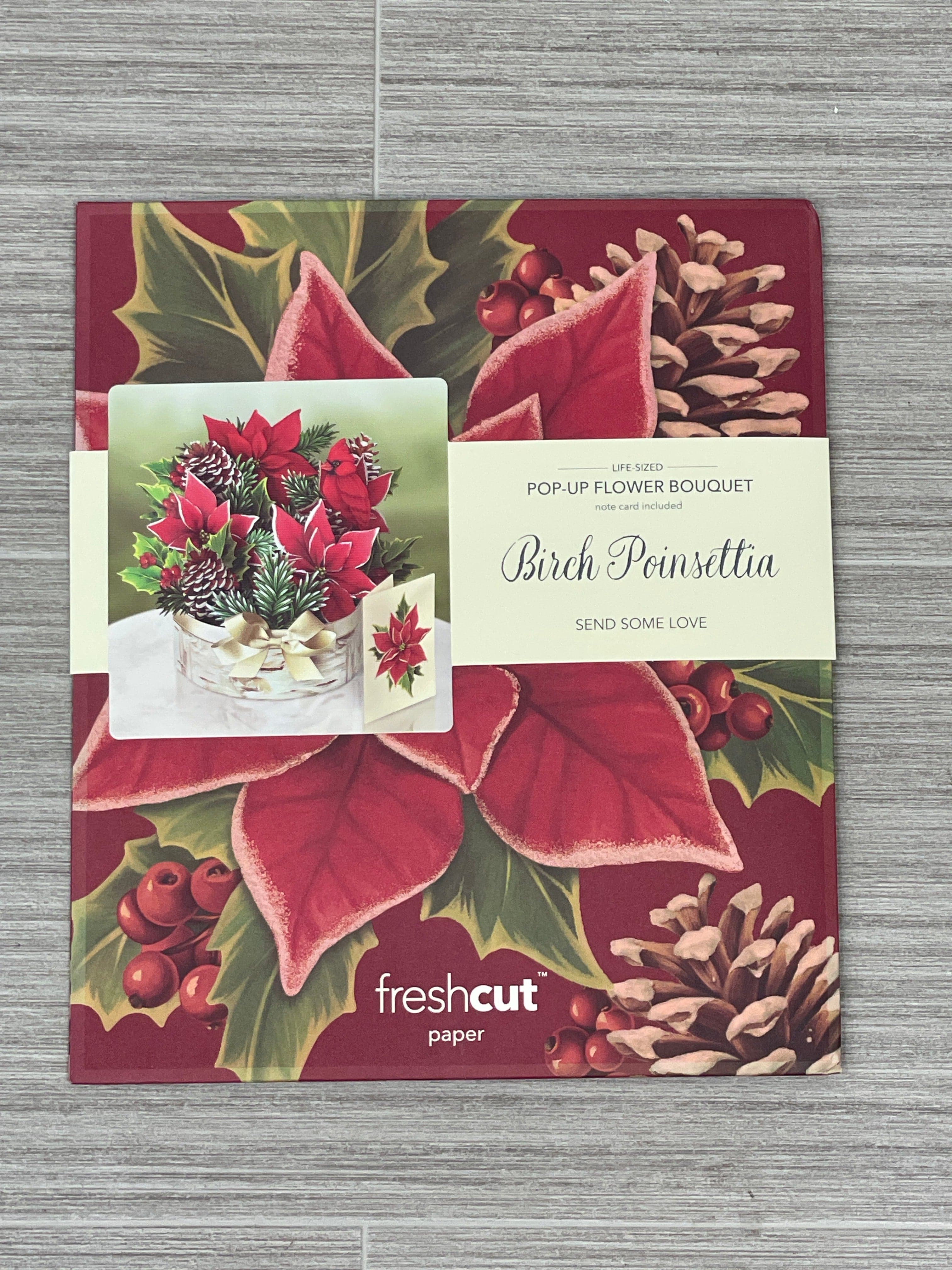Birch Poinsettia Card