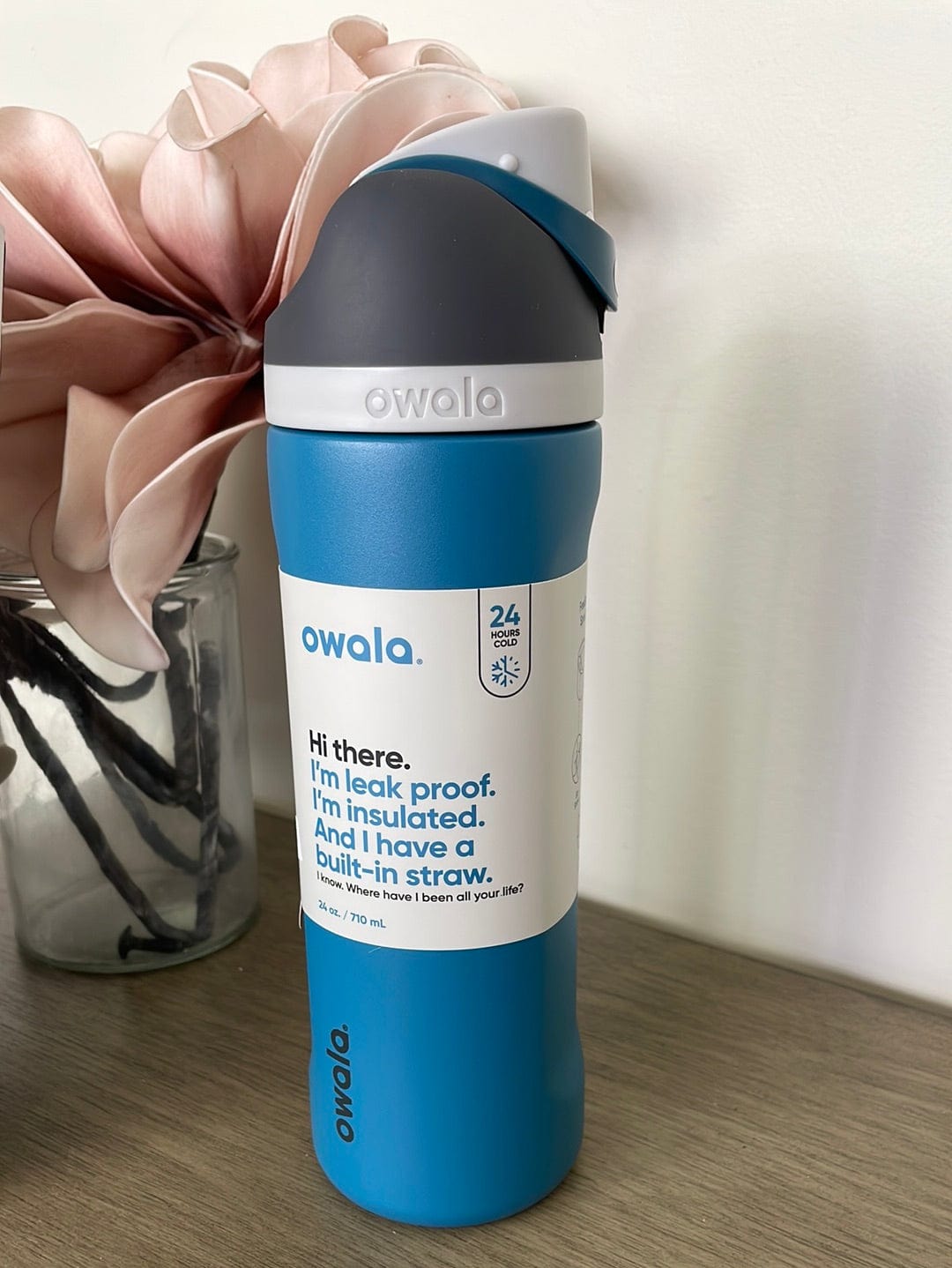 Blue Oasis Owala FreeSip Stainless Steel 24oz