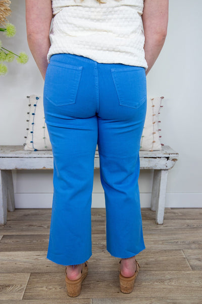 Sky Blue Garment Dyed Wide Crop Jean, back