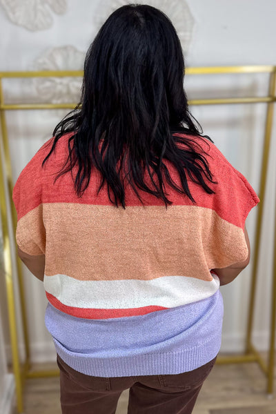 Coral Multi Stripe Notch Neck Sweater Back
