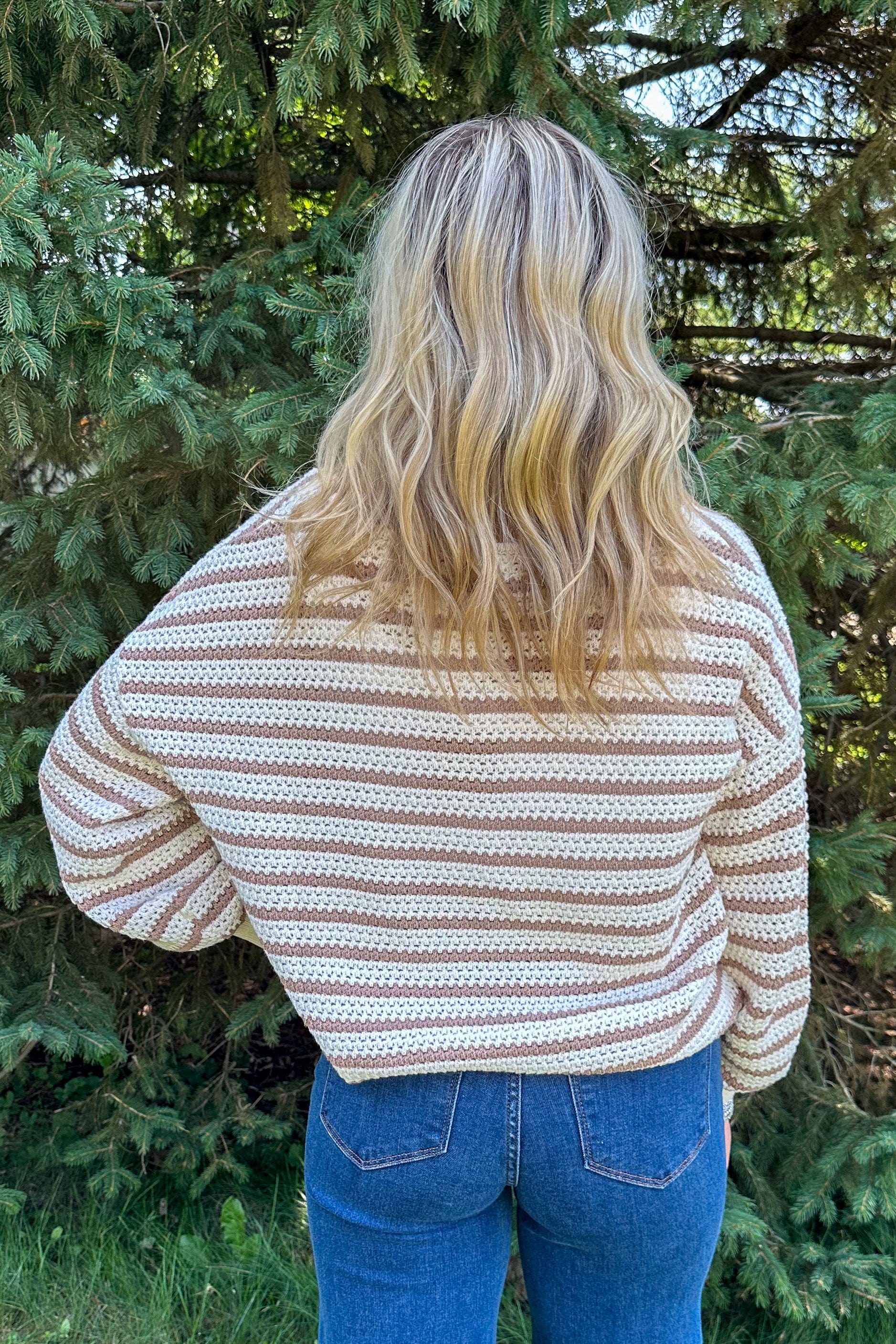 Taupe Stripe Crochet Sweater back