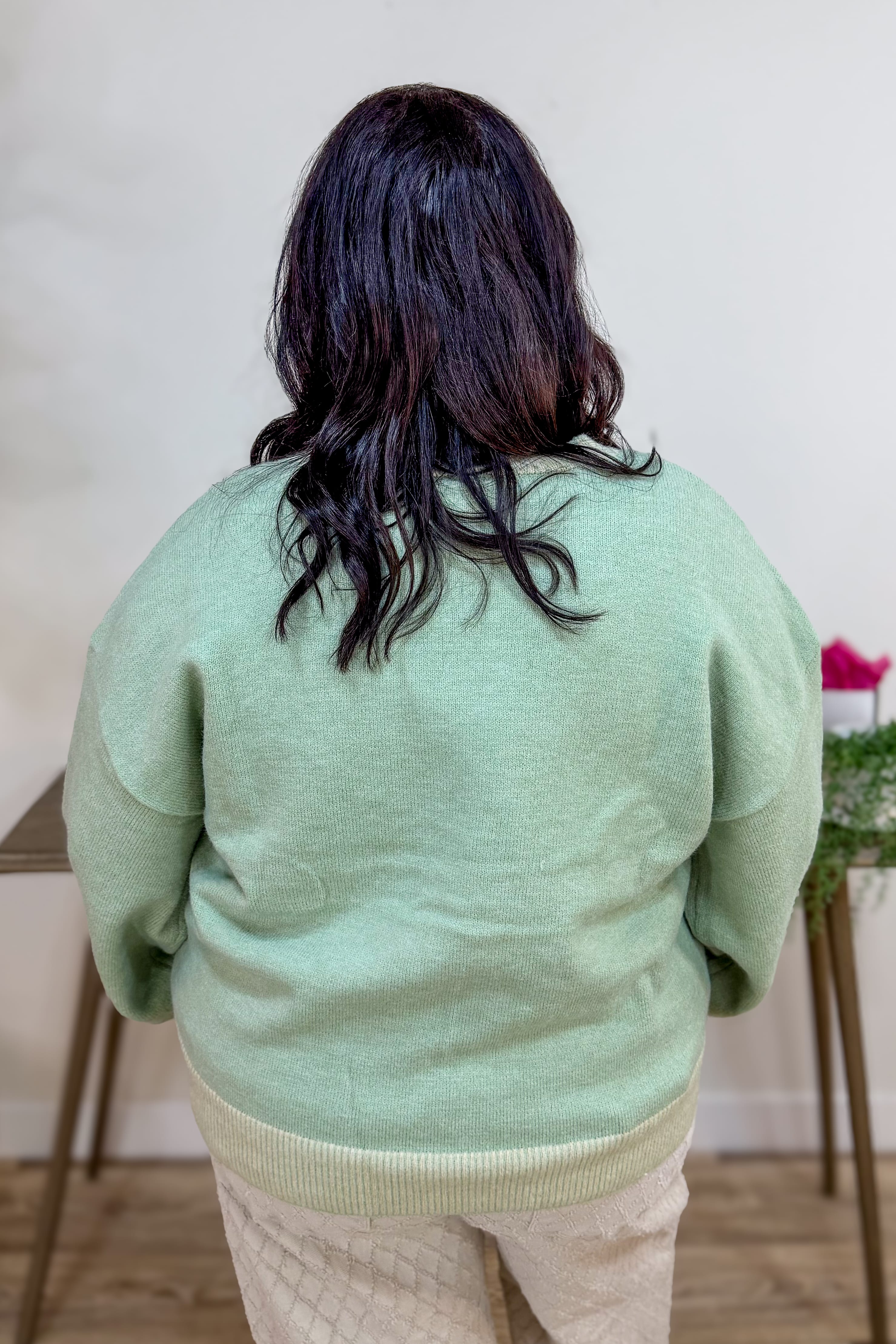 Sage Cute Dog Intarsia Knit Sweater Back
