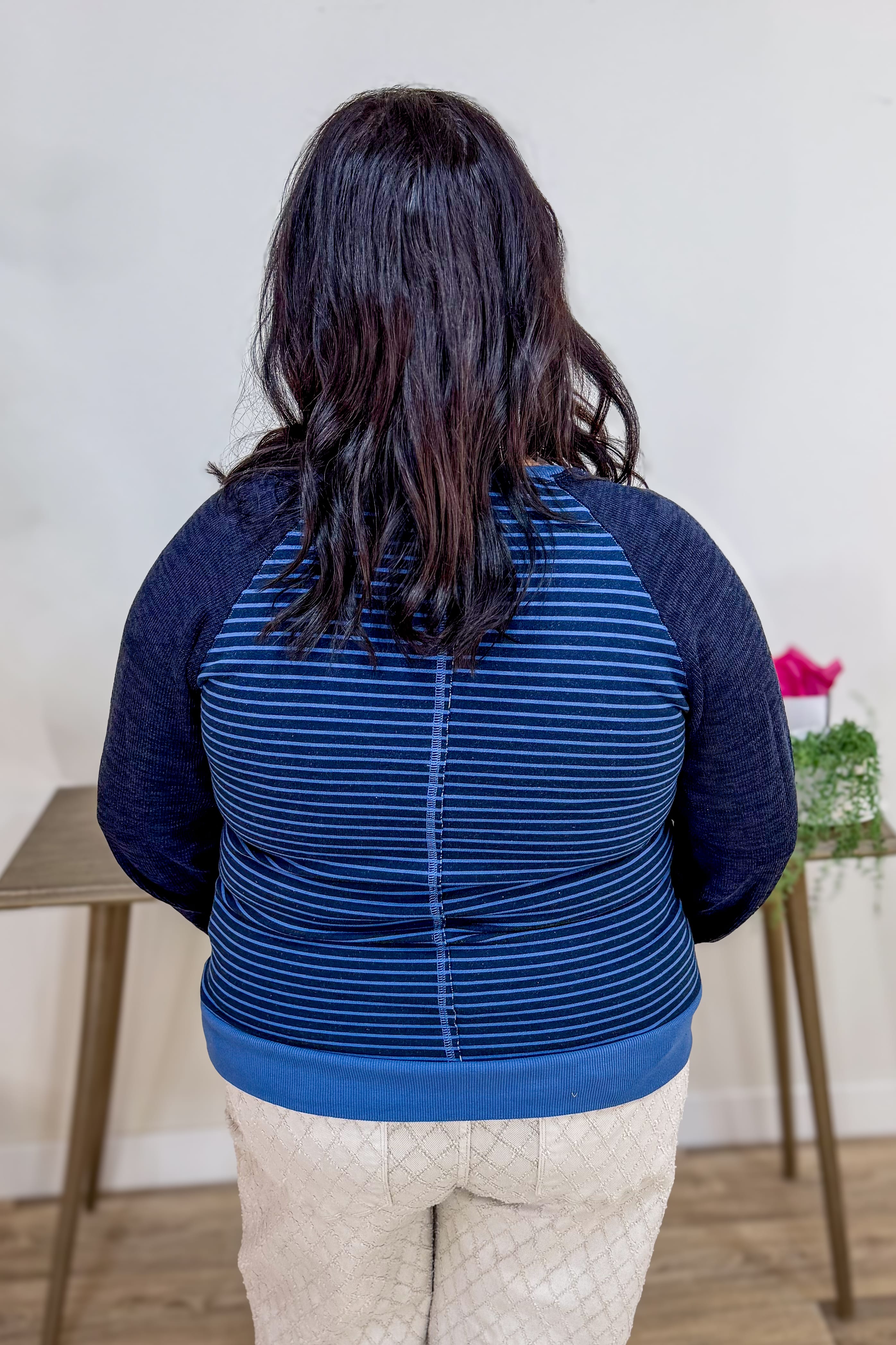 Blue Stripe Colorblock Sleeve Pullover Back