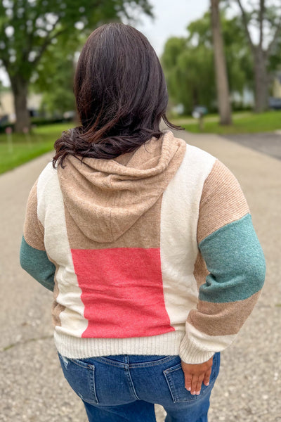 Taupe & Blue Color Block Hoodie Pullover Back